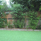 Забор на заднем дворе зарастает кустарником, вскоре он будет полностью закрыт зеленью