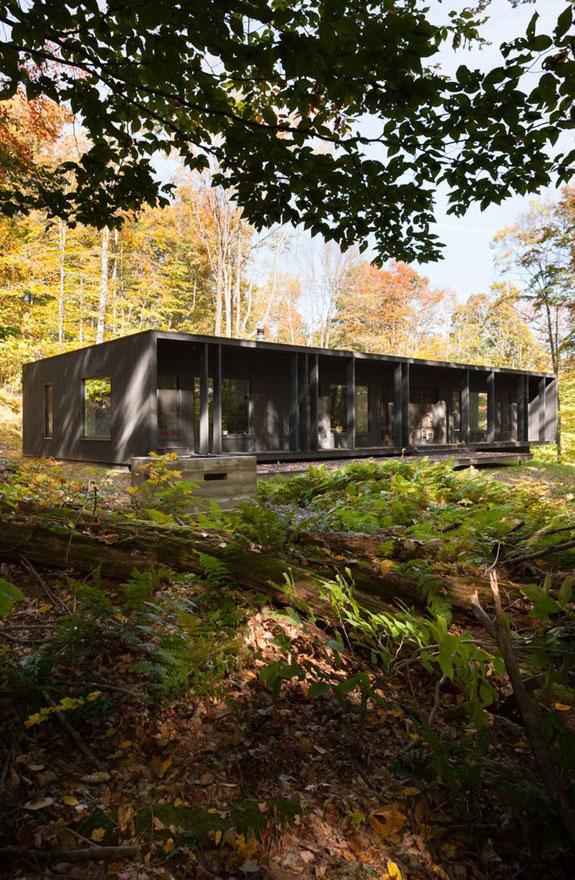 Дом органично вписывается в лесной пейзаж