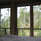 Вид из главной спальни на заросли леса за домом.