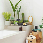 Ничто не делает ванну такой обжитой, как зеленые растения, но им нужен свет.
