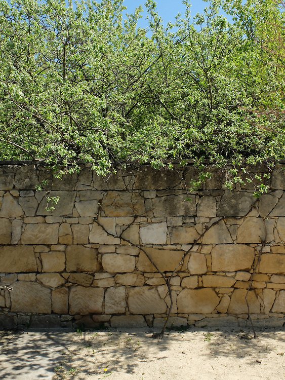 Подпорная стена из каменных блоков. Над стеной растут кусты свисая вниз.